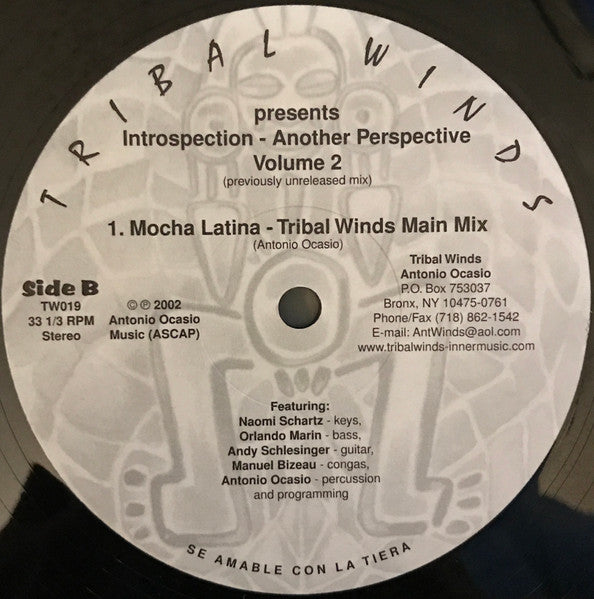 Introspection - Another Perspective Volume 2 | Rectangle Triangle