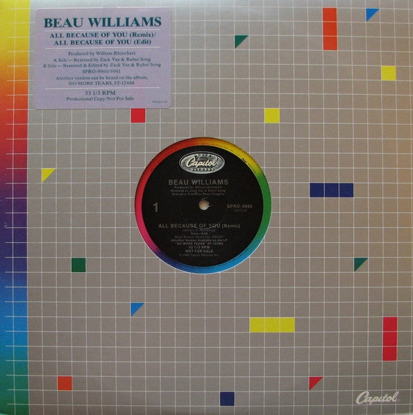 All Because Of You Beau Williams