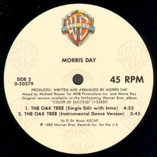 The Oak Tree Morris Day