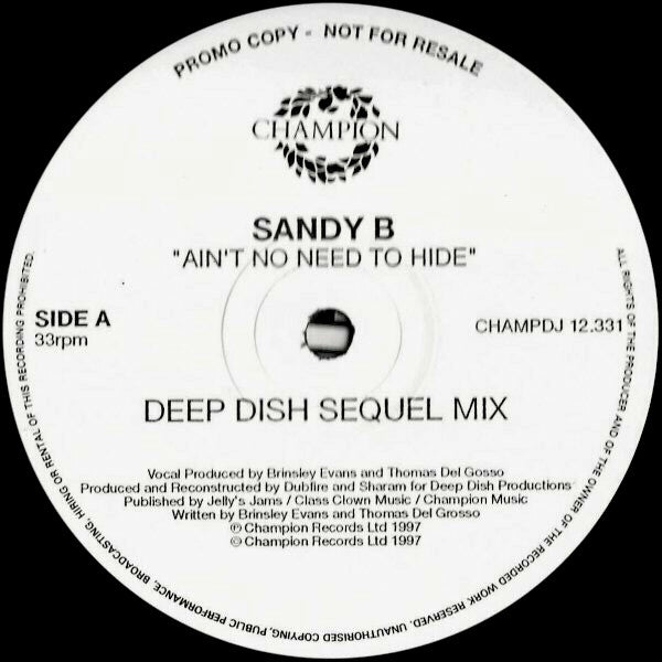 Ain't No Need To Hide 2 Sandy B