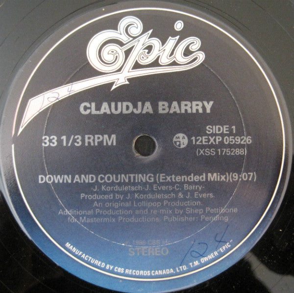 Down And Counting 2 Claudja Barry