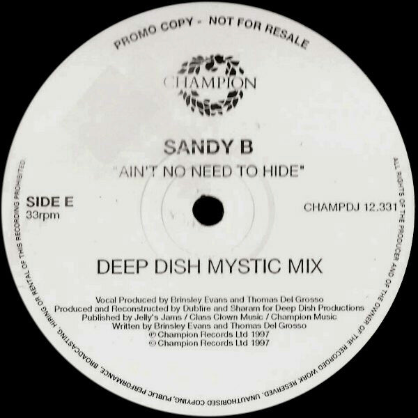 Ain't No Need To Hide 2 Sandy B
