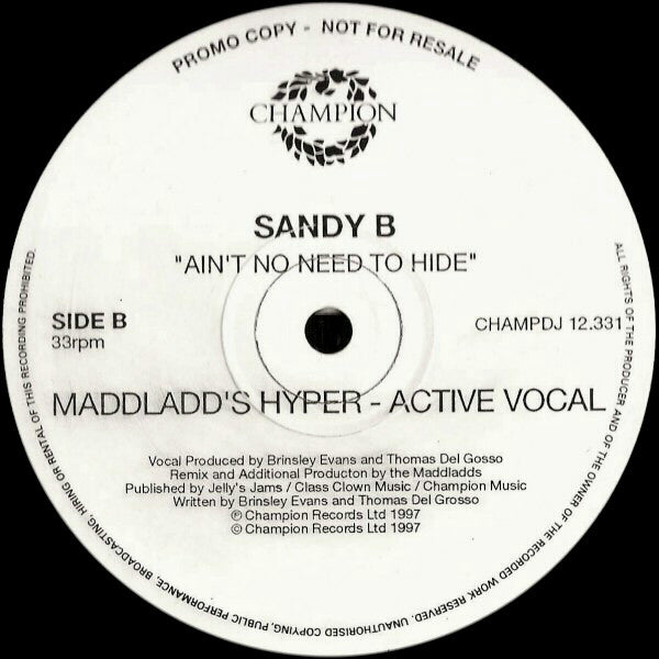 Ain't No Need To Hide 2 Sandy B