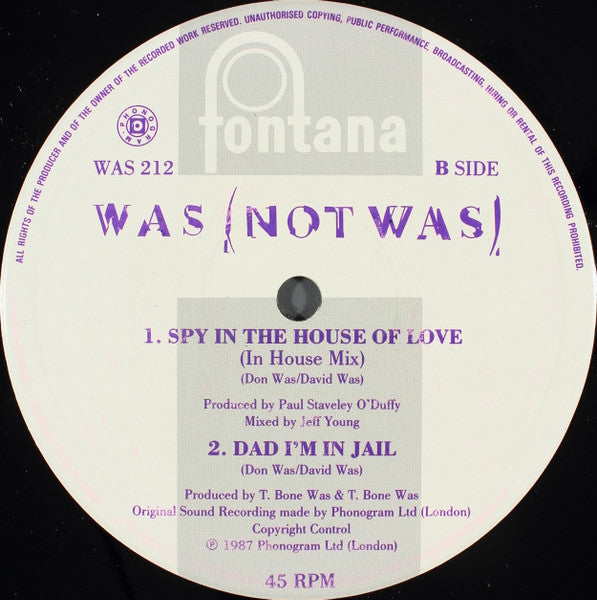 Spy In The House Of Love Was (Not Was)