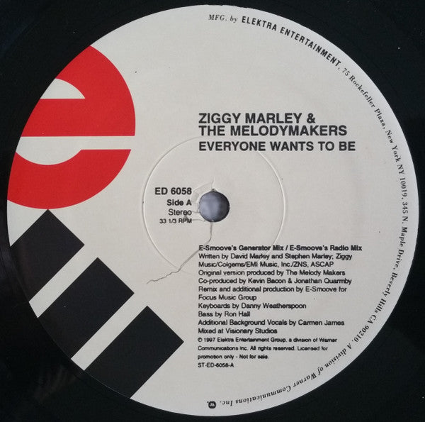 Everyone Wants To Be Ziggy Marley And The Melody Makers