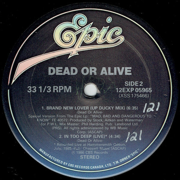 Brand New Lover Dead Or Alive