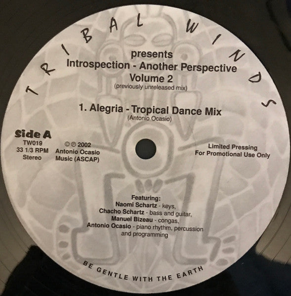 Introspection - Another Perspective Volume 2 Antonio Ocasio