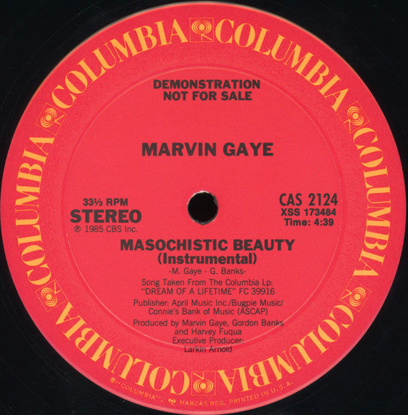 Masochistic Beauty Marvin Gaye