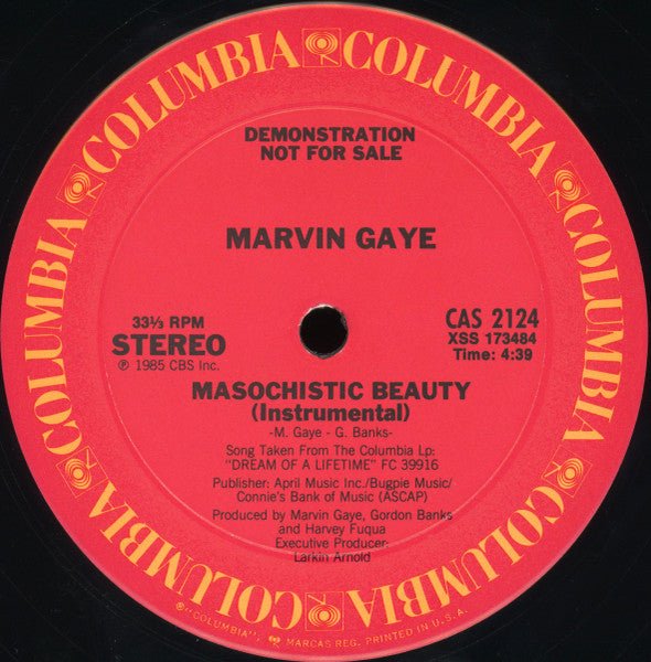 Masochistic Beauty Marvin Gaye