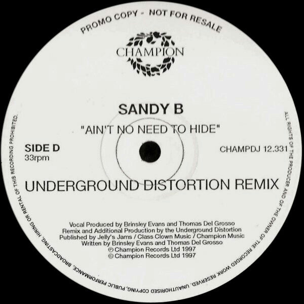 Ain't No Need To Hide 2 Sandy B