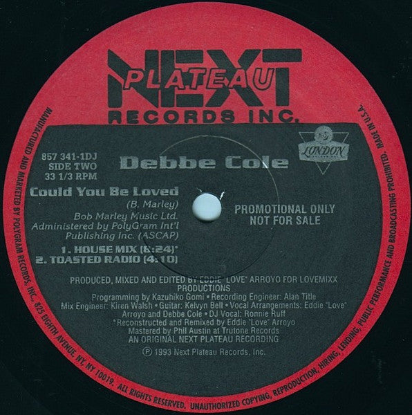 Could You Be Loved Debbe Cole