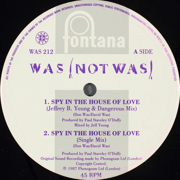 Spy In The House Of Love Was (Not Was)