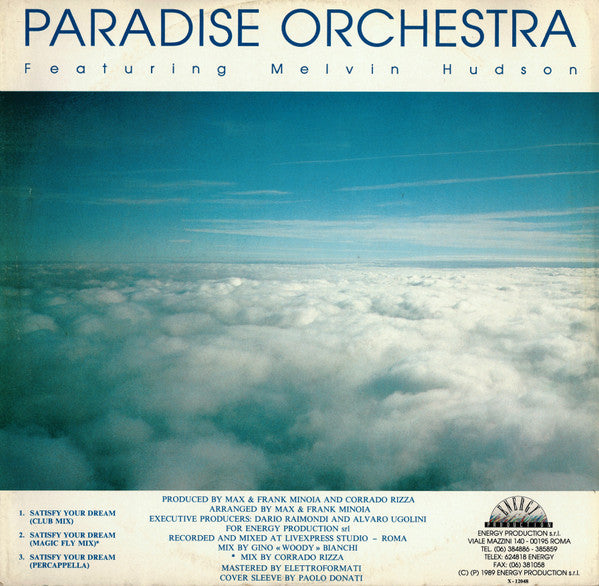 Satisfy Your Dream Paradise Orchestra