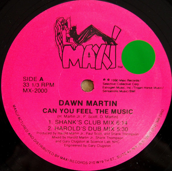Can You Feel The Music Dawn Martin