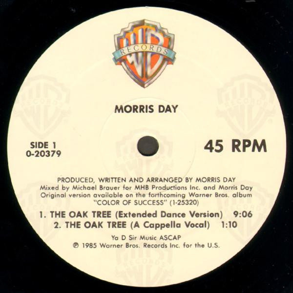 The Oak Tree Morris Day