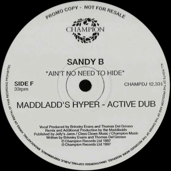 Ain't No Need To Hide Sandy B