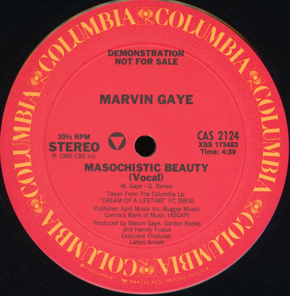 Masochistic Beauty Marvin Gaye