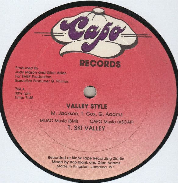 Valley Style T-Ski Valley