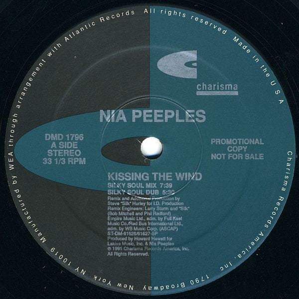 Kissing The Wind Nia Peeples