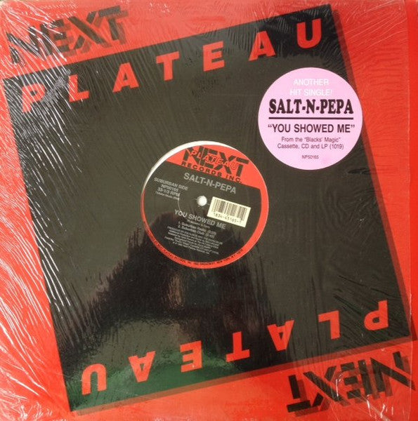 You Showed Me Salt 'N' Pepa