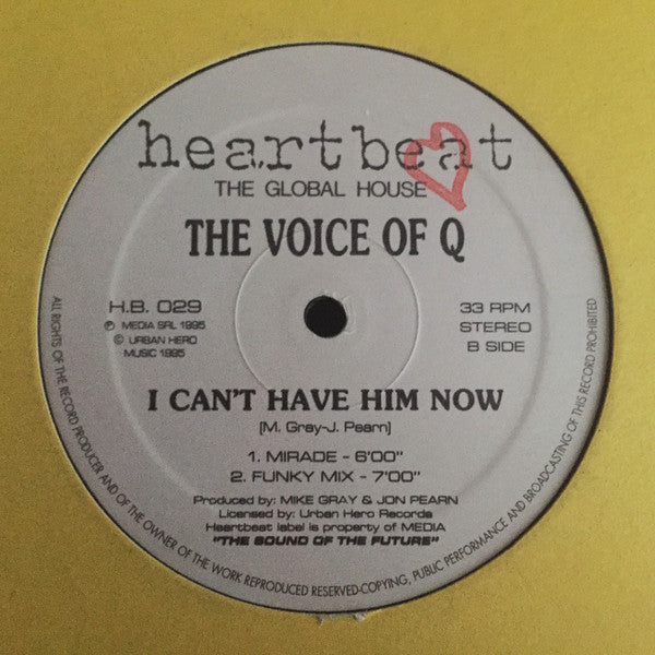 I Can't Have Him Now 2 The Voice Of Q