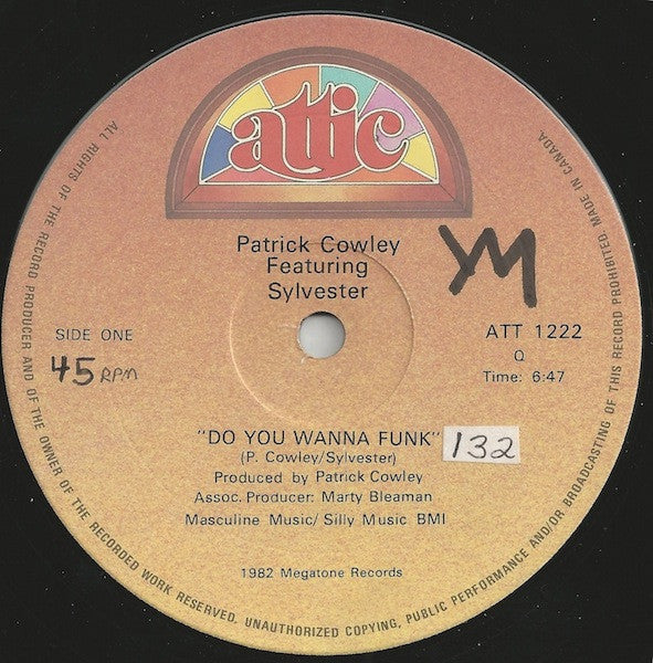 Do You Wanna Funk Patrick Cowley,Sylvester