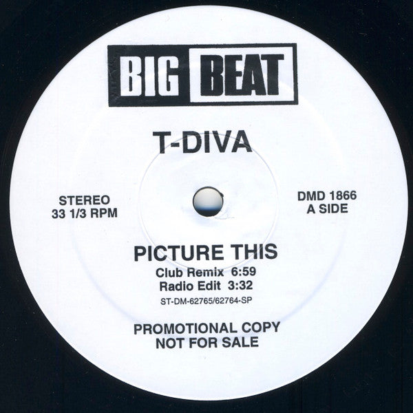 Picture This 2 Technodiva