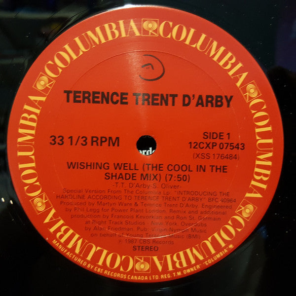 Wishing Well Terence Trent D'Arby