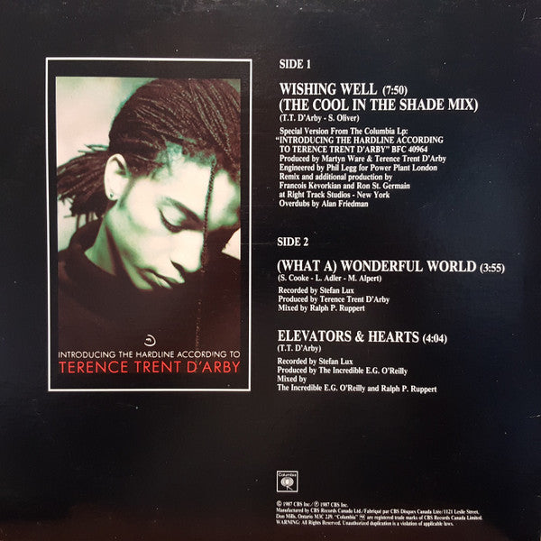 Wishing Well Terence Trent D'Arby