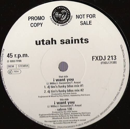 I Want You Utah Saints