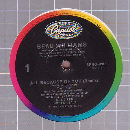 All Because Of You Beau Williams