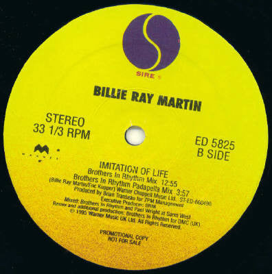 Imitation Of Life Billie Ray Martin