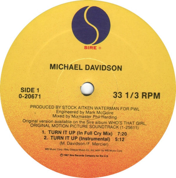 Turn It Up Michael Davidson