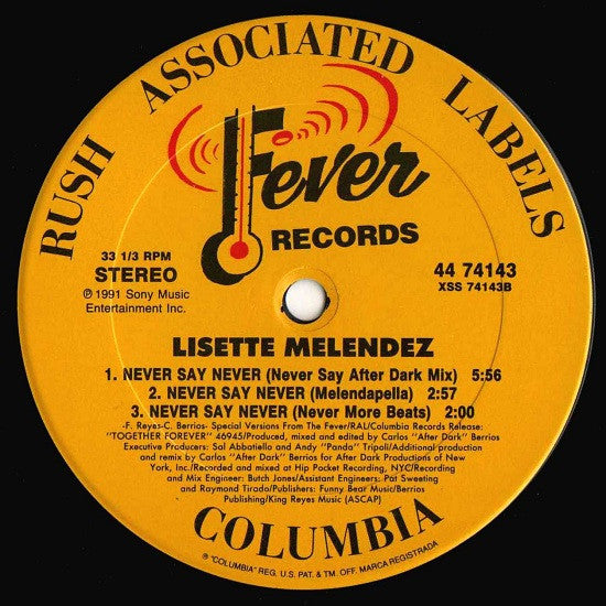 Never Say Never Lisette Melendez