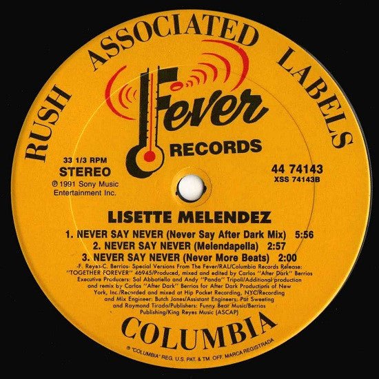 Never Say Never Lisette Melendez