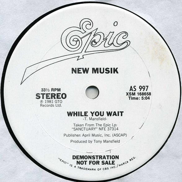 While You Wait / They All Run After The Carving Knife New Musik