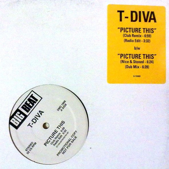 Picture This 2 Technodiva