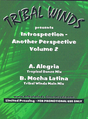 Introspection - Another Perspective Volume 2 Antonio Ocasio