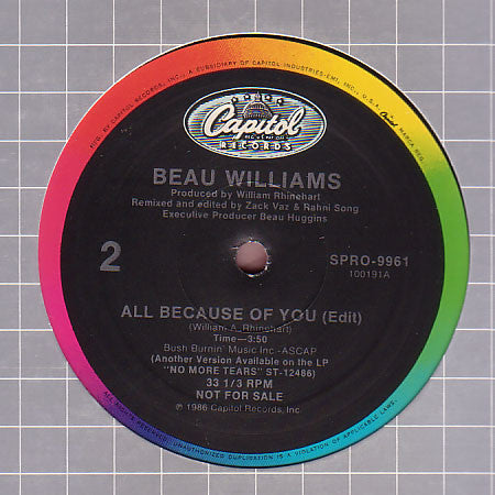 All Because Of You Beau Williams