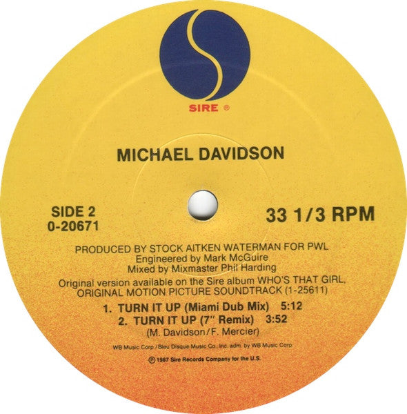Turn It Up Michael Davidson