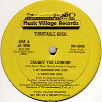 Caught You Looking Turntable Orchestra