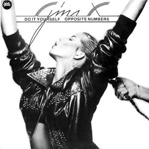Do It Yourself / Opposite Numbers Gina X