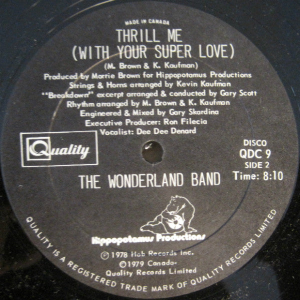 Superman The Wonderland Band