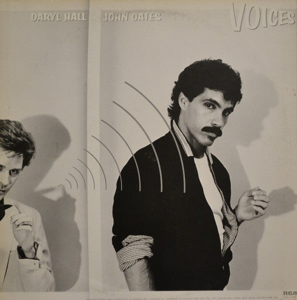 Voices Daryl Hall & John Oates