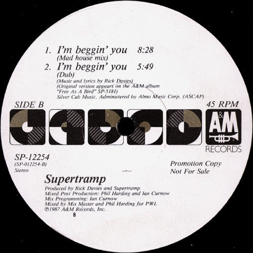 I'm Beggin' You | Rectangle Triangle