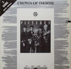 Pictures Crown Of Thorns (2)