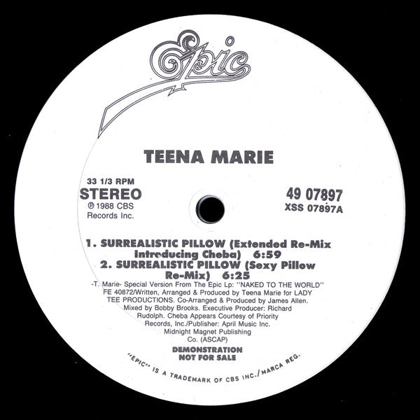 Surrealistic Pillow Teena Marie
