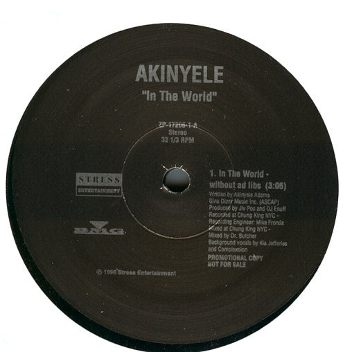In The World Akinyele
