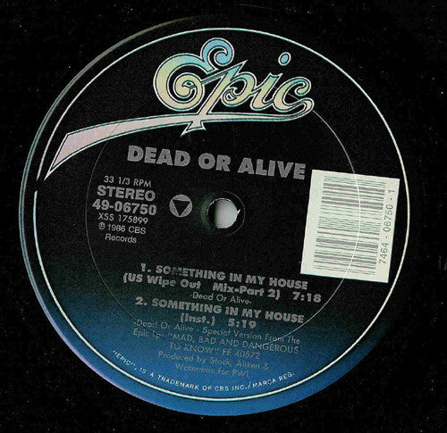 Something In My House Dead Or Alive