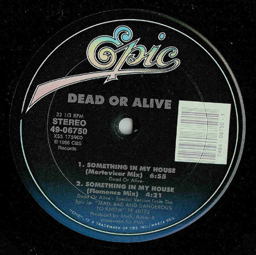Something In My House Dead Or Alive